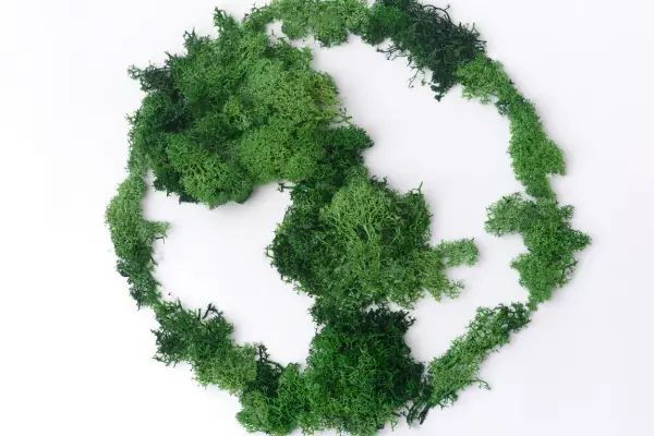 Restauração e Sustentabilidade: Como Cuidar Sem Prejudicar o Meio Ambiente